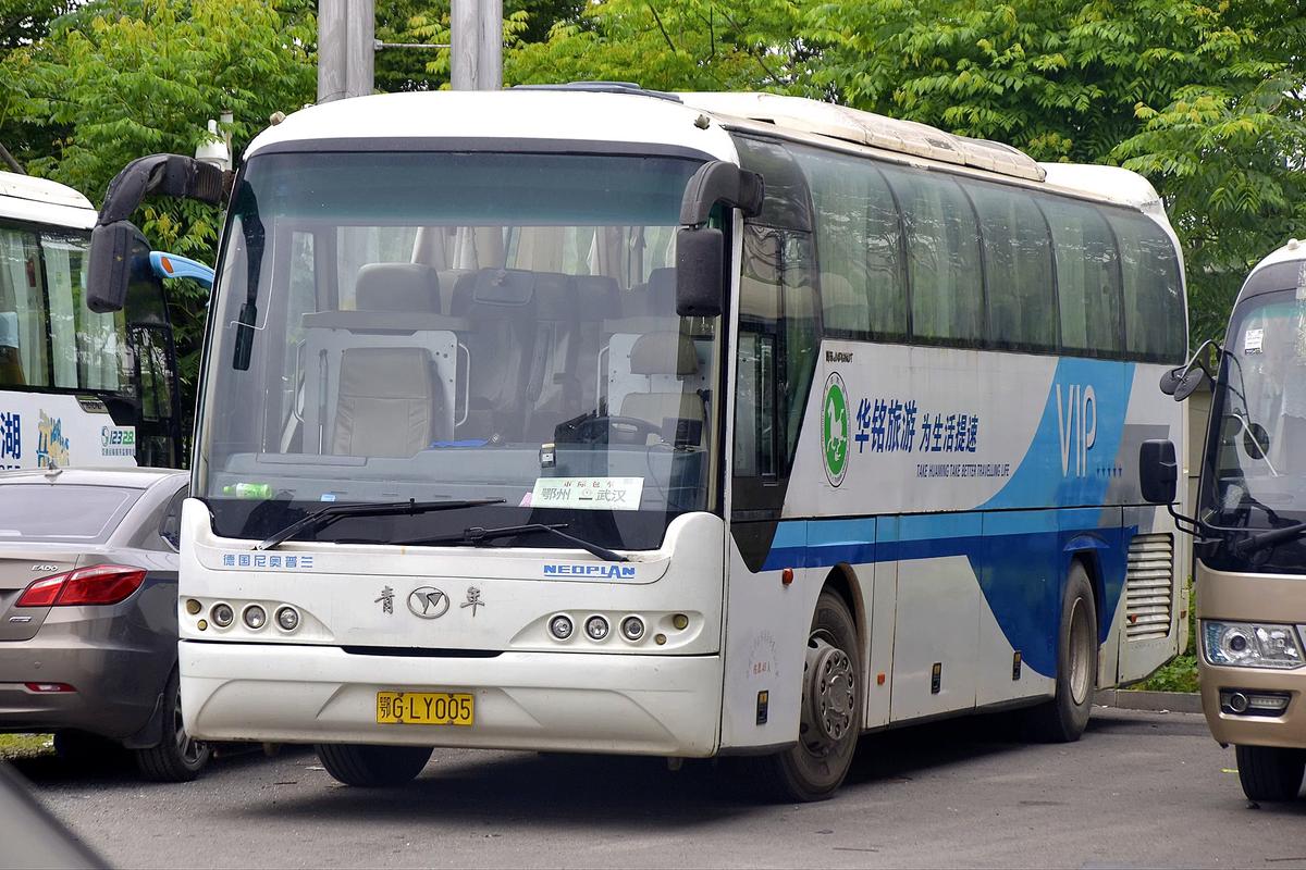 青年尼奥普兰大客车图片/青年尼奥普兰豪华大巴