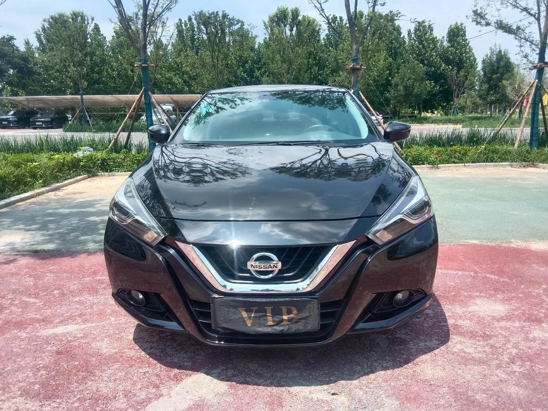 蓝鸟轿车是什么意思,蓝鸟车的优点