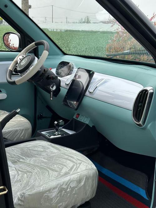 老年观光车价格及图片 老年观光电动车