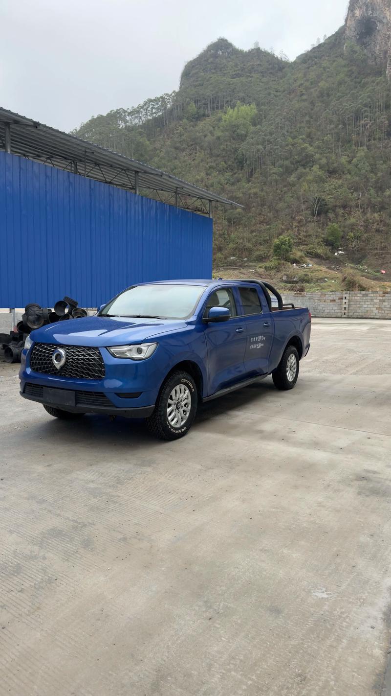 长城皮卡叫什么名字,长城的皮卡