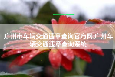 广州市车辆交通违章查询官方网,广州车辆交通违章查询系统