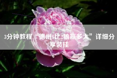 3分钟教程“德州1比2输赢多大”详细分享装挂