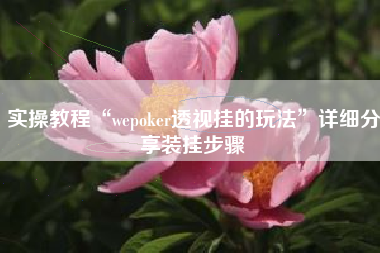 实操教程“wepoker透视挂的玩法”详细分享装挂步骤