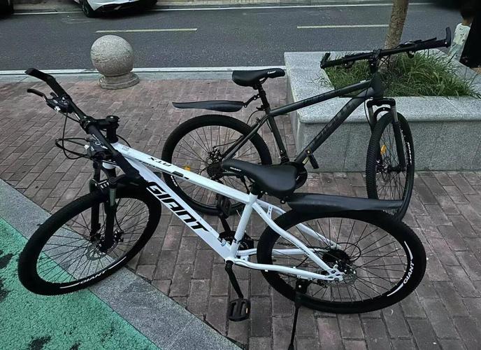 捷安特atx770颜色及年份 捷安特atx770白色哪年款