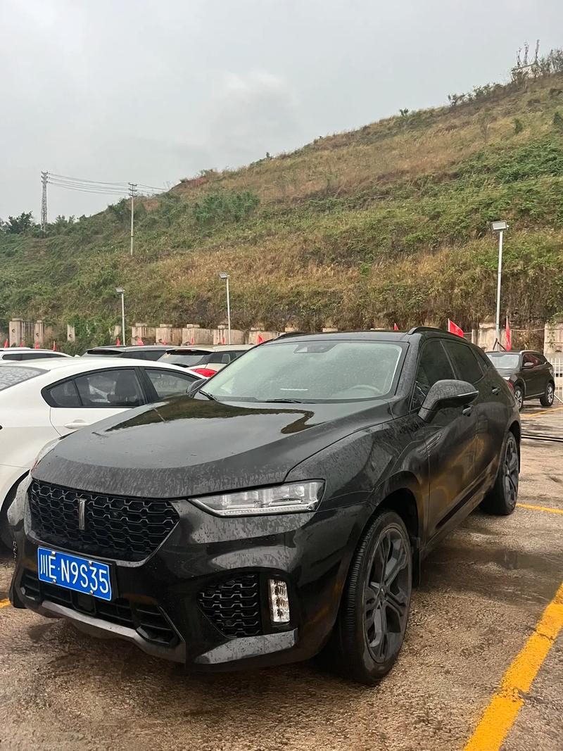 weyvv75是什么车报价,wey品牌车vv7多少钱