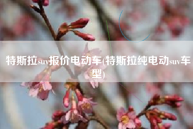 特斯拉suv报价电动车(特斯拉纯电动suv车型)