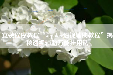 安装程序教程“wepoker透视辅助教程”揭秘透视辅助万能挂用法