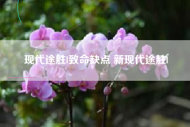 现代途胜l致命缺点 新现代途胜l