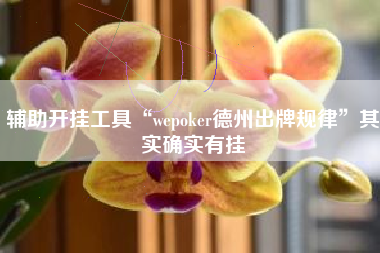 辅助开挂工具“wepoker德州出牌规律”其实确实有挂