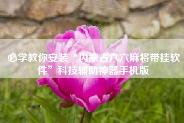 必学教你安装“内蒙古六六麻将带挂软件”科技辅助神器手机版