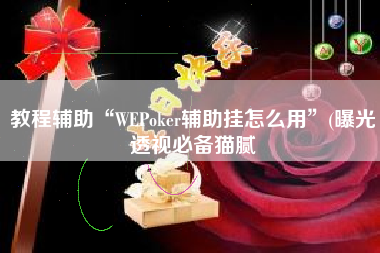 教程辅助“WEPoker辅助挂怎么用”(曝光透视必备猫腻