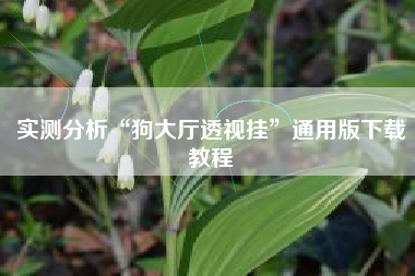 实测分析“狗大厅透视挂”通用版下载教程