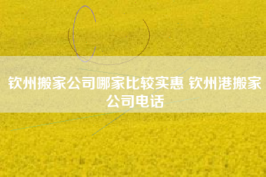 钦州搬家公司哪家比较实惠 钦州港搬家公司电话