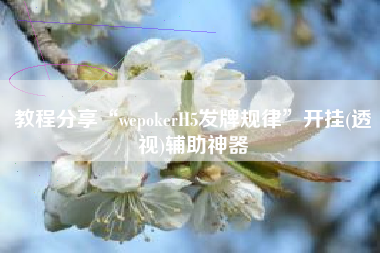 教程分享“wepokerH5发牌规律”开挂(透视)辅助神器