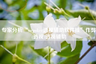 专家分析“wepoker透视辅助软件挂”作弊(透视)透视辅助