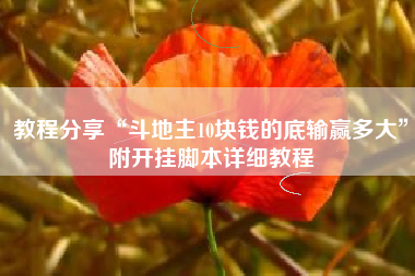 教程分享“斗地主10块钱的底输赢多大”附开挂脚本详细教程