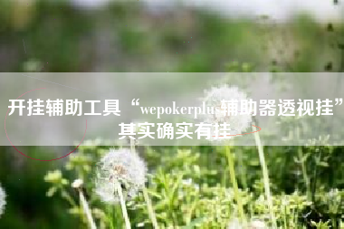 开挂辅助工具“wepokerplus辅助器透视挂”其实确实有挂