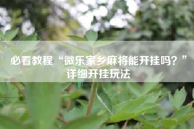 必看教程“微乐家乡麻将能开挂吗？”详细开挂玩法