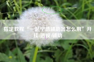指定教程“一起宁德辅助器怎么用”开挂(透视)辅助