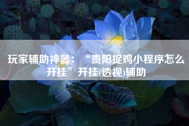 玩家辅助神器：“贵阳捉鸡小程序怎么开挂”开挂(透视)辅助