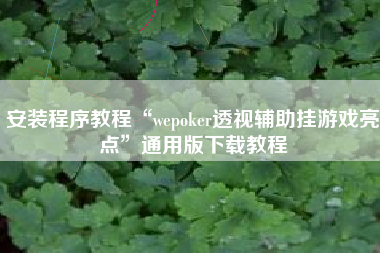 安装程序教程“wepoker透视辅助挂游戏亮点”通用版下载教程