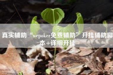真实辅助“wepoker免费辅助”开挂辅助脚本+详细开挂