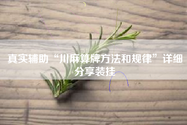 真实辅助“川麻算牌方法和规律”详细分享装挂