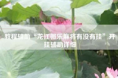 教程辅助“龙江微乐麻将有没有挂”开挂辅助详细