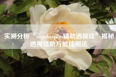 实测分析“wepokerplus辅助透视挂”揭秘透视辅助万能挂用法