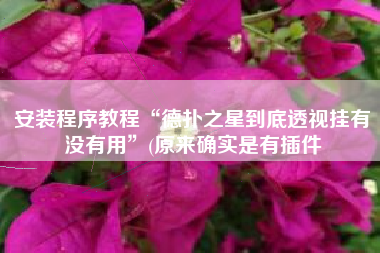 安装程序教程“德扑之星到底透视挂有没有用”(原来确实是有插件