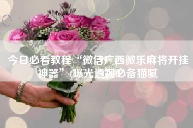 今日必看教程“微信广西微乐麻将开挂神器”(曝光透视必备猫腻