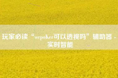 玩家必读“wepoKer可以透视吗”辅助器 - 实时智能