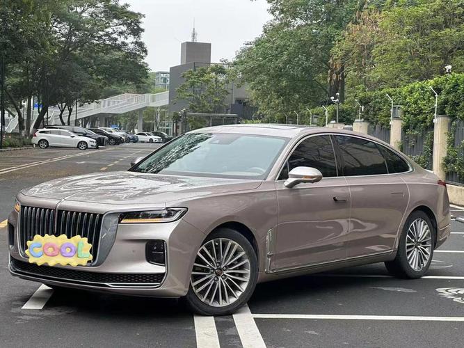 h9红旗试驾视频(h9红旗2020款试驾)