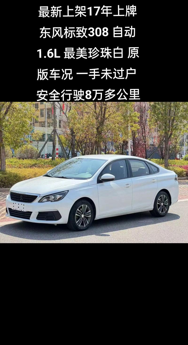 东风新款标致308/试驾东风标致308