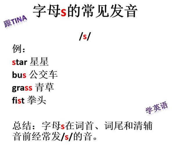 s是什么意思c语言中(c语言s表示什么)