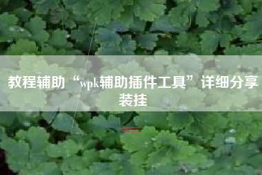 教程辅助“wpk辅助插件工具”详细分享装挂