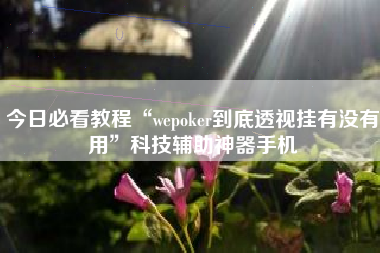 今日必看教程“wepoker到底透视挂有没有用”科技辅助神器手机