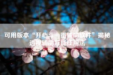 可用版本“开心斗一番辅助软件”揭秘透视辅助万能挂用法