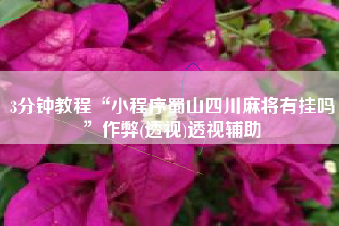 3分钟教程“小程序蜀山四川麻将有挂吗”作弊(透视)透视辅助