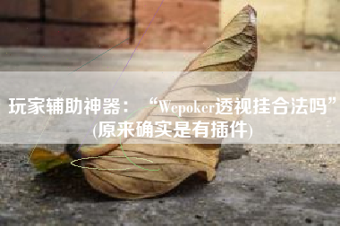 玩家辅助神器：“Wepoker透视挂合法吗”(原来确实是有插件)