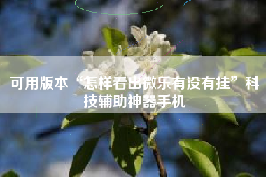 可用版本“怎样看出微乐有没有挂”科技辅助神器手机