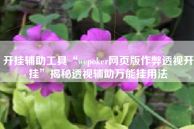 开挂辅助工具“wepoker网页版作弊透视开挂”揭秘透视辅助万能挂用法