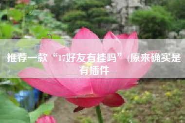 推荐一款“17好友有挂吗”(原来确实是有插件