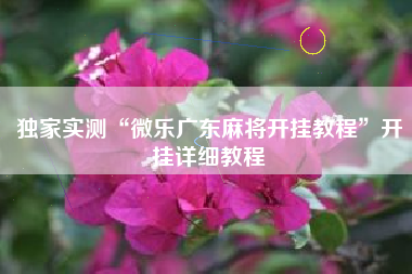 独家实测“微乐广东麻将开挂教程”开挂详细教程