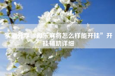 实测分享“微乐麻将怎么样能开挂”开挂辅助详细