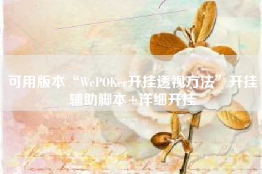 可用版本“WePOKer开挂透视方法”开挂辅助脚本+详细开挂