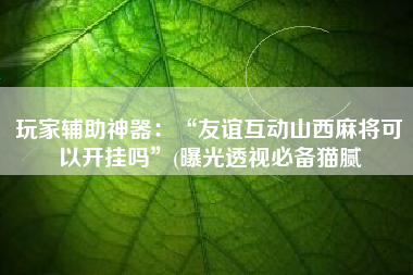 玩家辅助神器：“友谊互动山西麻将可以开挂吗”(曝光透视必备猫腻