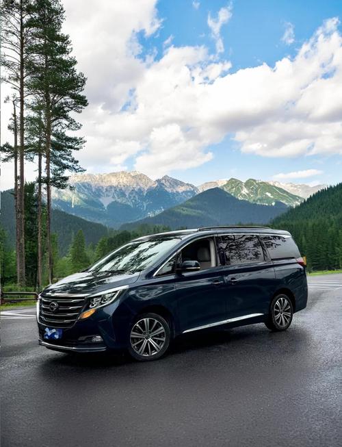 【gm8传祺2023款图片,最新传祺gm8】