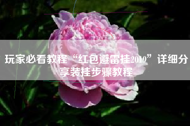 玩家必看教程“红包避雷挂2019”详细分享装挂步骤教程