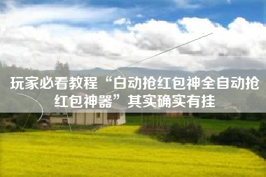 玩家必看教程“白动抢红包神全自动抢红包神器”其实确实有挂